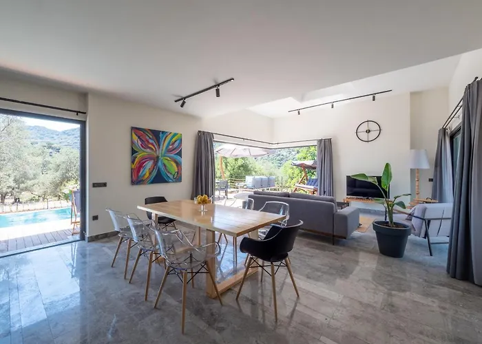 Notos Club فيلة كاس